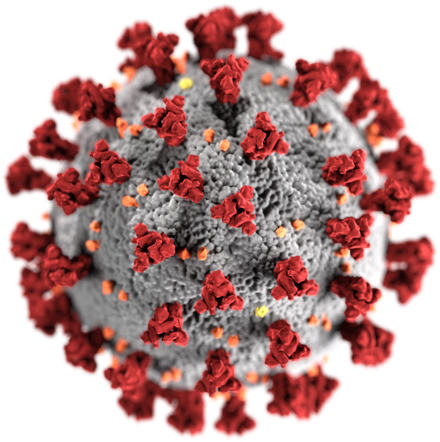 coronavirus w klimatyzacji samochodowej BMW